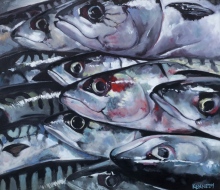 Mackerel