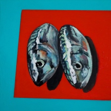 Mackerel Study
